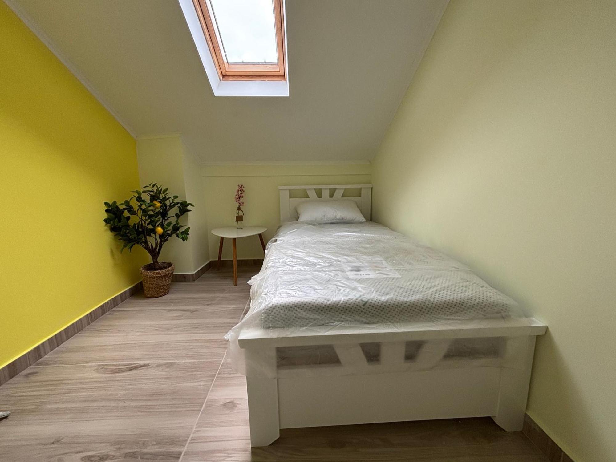 Apartamento Vuko I Magdalena Midzor Petrovac Exterior foto
