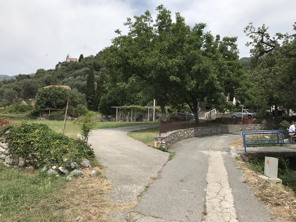 Apartamento Vuko I Magdalena Midzor Petrovac Exterior foto