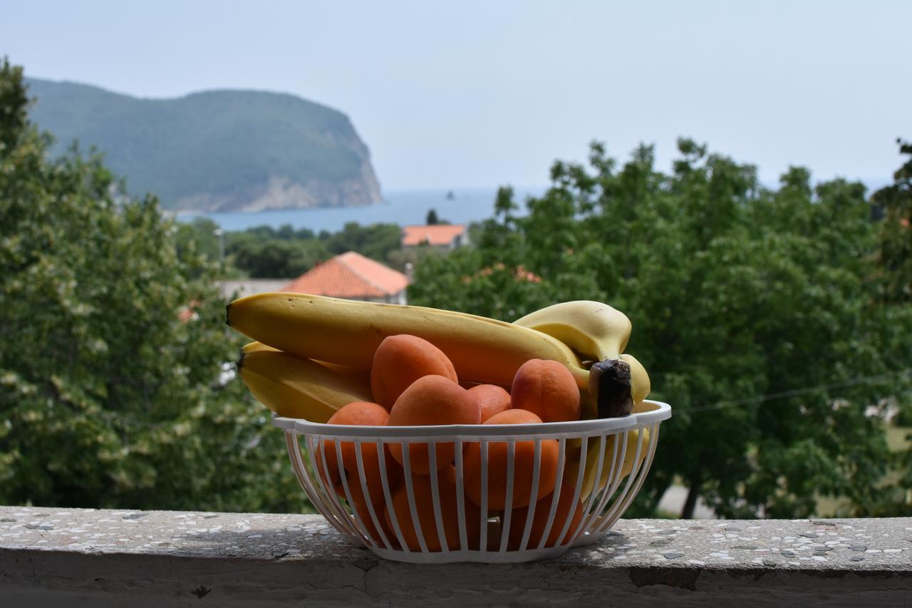 Apartamento Vuko I Magdalena Midzor Petrovac Exterior foto