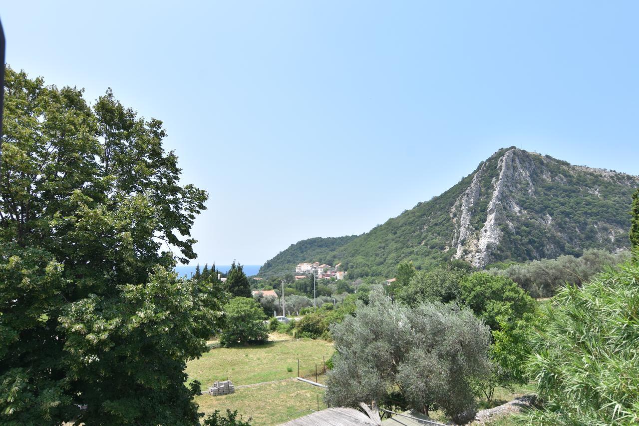 Apartamento Vuko I Magdalena Midzor Petrovac Exterior foto