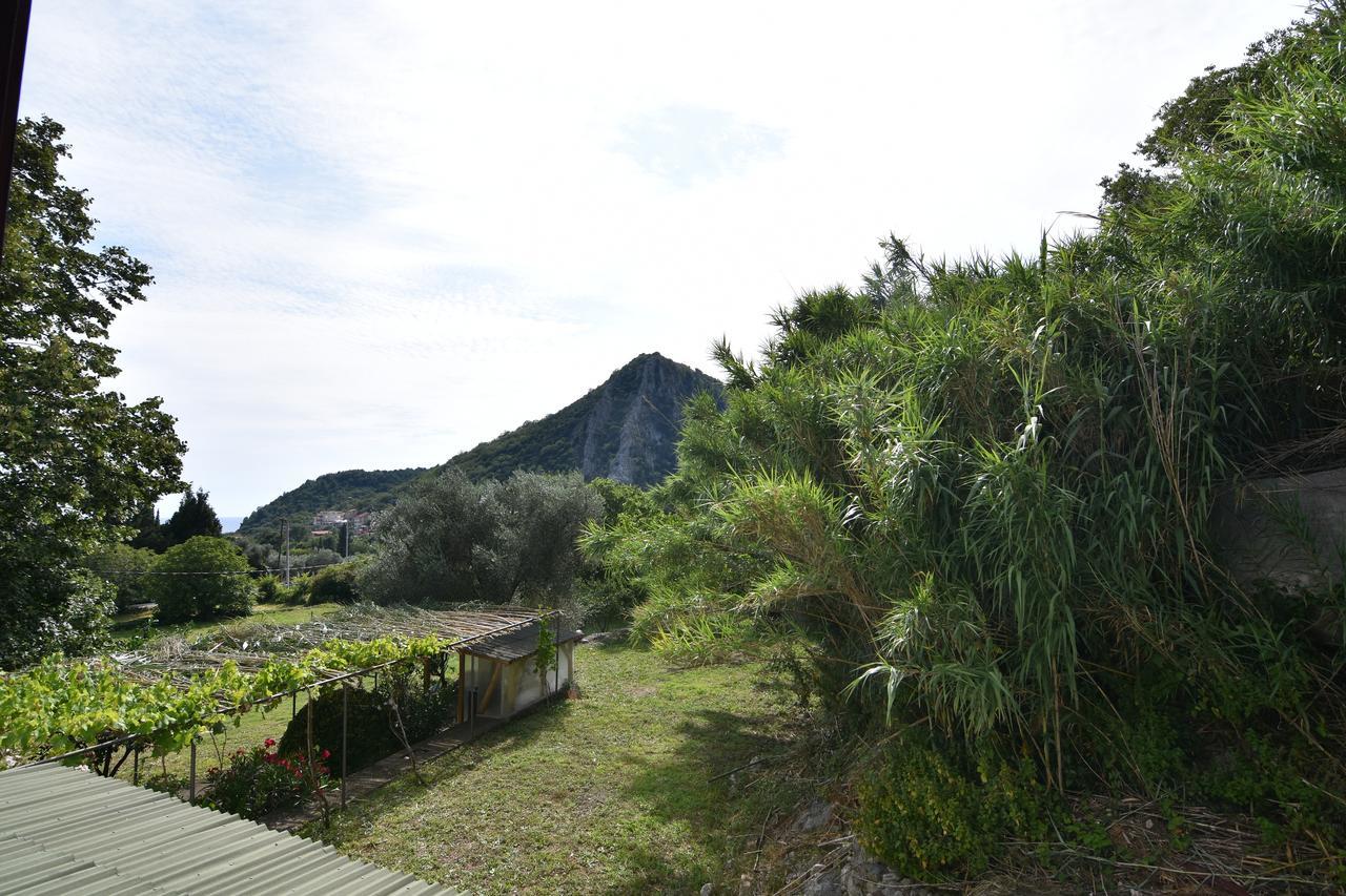 Apartamento Vuko I Magdalena Midzor Petrovac Exterior foto